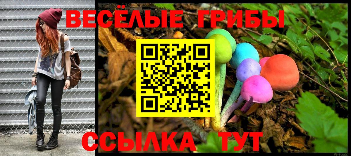 Псилоцибиновые грибы Psilocybe Углич